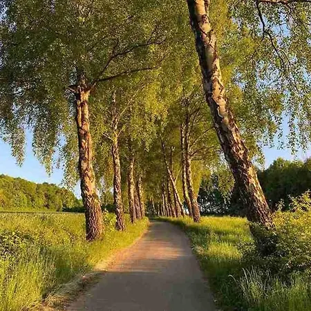 31 - Im Gruenen Paradies Nahe Wanderwegen Und Radstrecken Erholung Pur Im Teutoburger Wald Nieheim